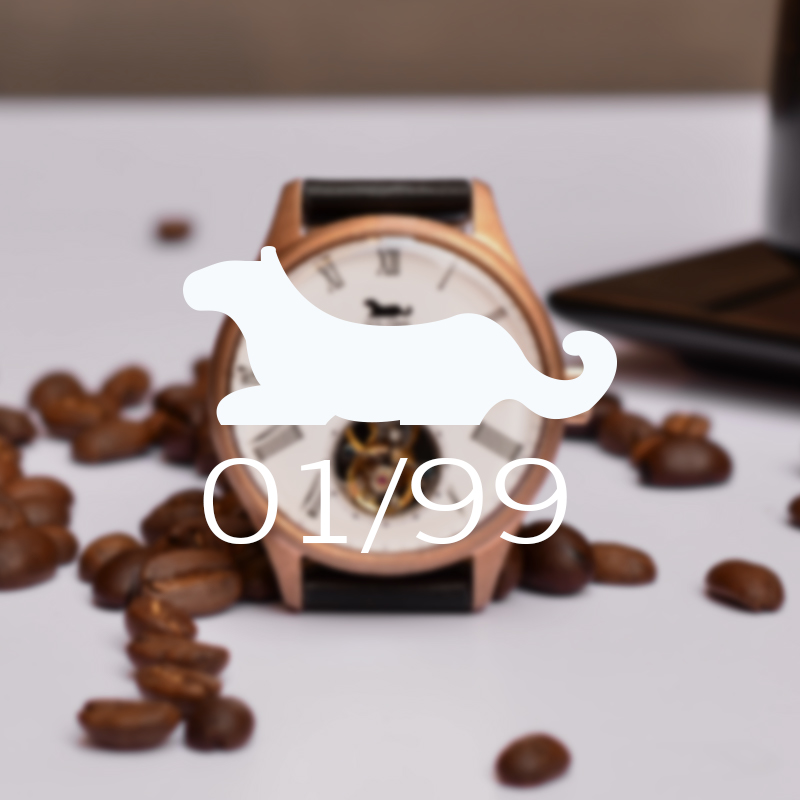 Watch Manufacturer Case 4